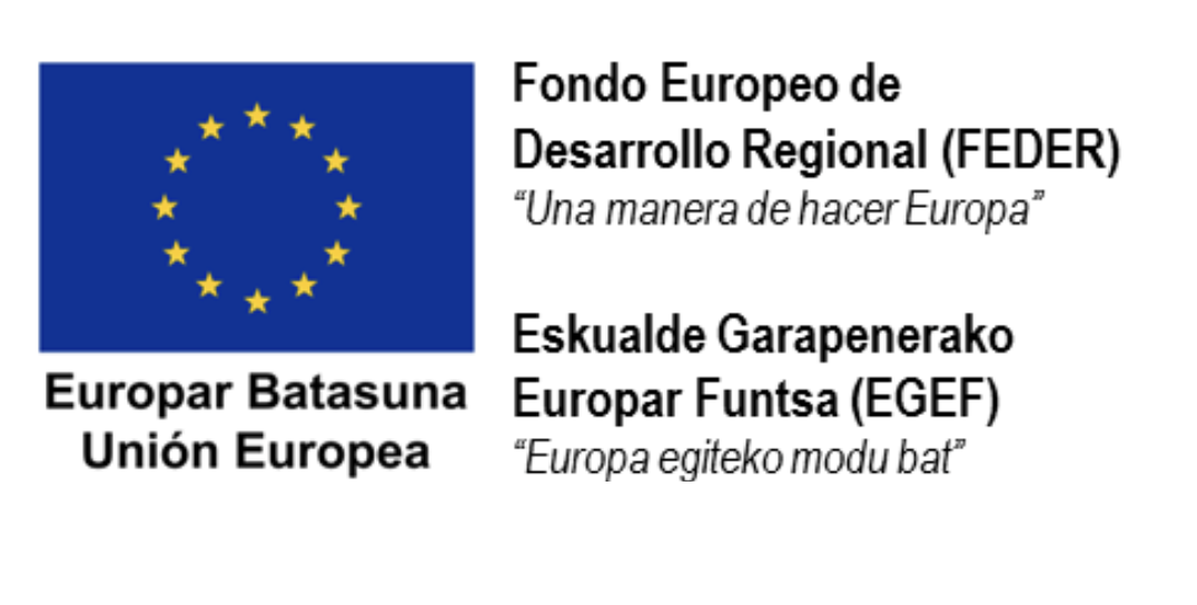 Fondo Europeo de Desarrollo Regional FEDER